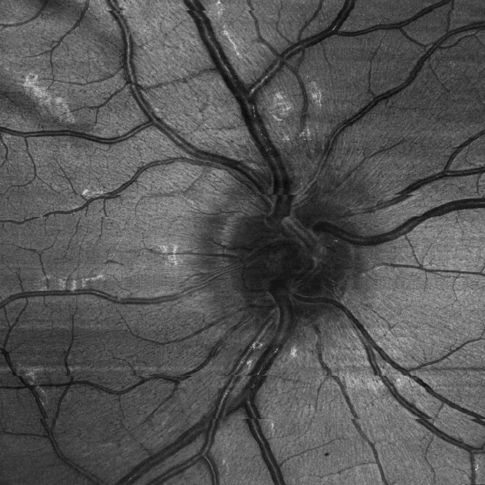 Northwestern University